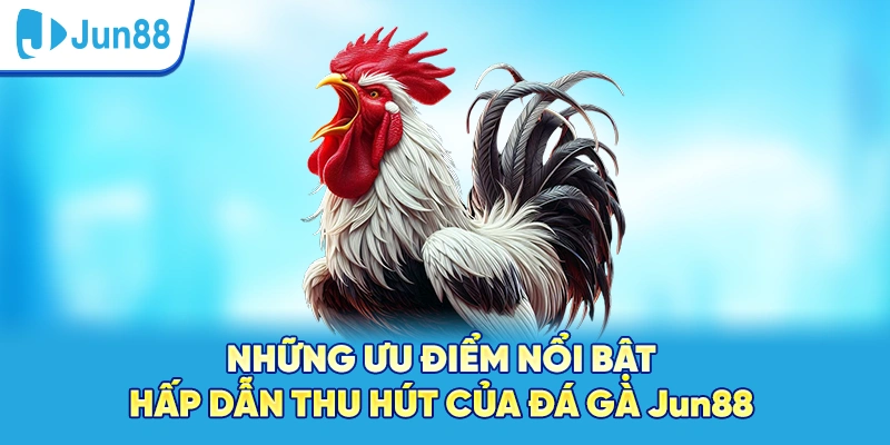 Những ưu điểm nổi bật hấp dẫn thu hút của đá gà Jun88